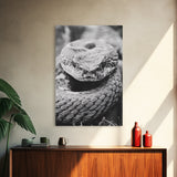 Rattlesnake Face, Coiled Closeup, Venomous Gaze, Canvas Print, Macro Wildlife Wall Art, Reptile Decor, Intense Black White Photography