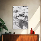 Sand Crab, Beach Macro, Ocean Critter Art, Framed Canvas Print, Coastal Bathroom Decor, Beach House Wall Art, Nature Close-Up