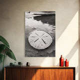 Sand Dollar, Coastal Shore, Ocean Shell Print, Canvas Print, Beachcomber Wall Art, Seaside Bathroom Decor, Nautical Nature Photography