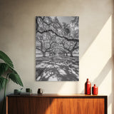 Oak Tree Tunnel, Southern Charm, Shaded Pathway, Timeless Trees Framed Canvas Print, farmhouse wall decor, hallway landscape art