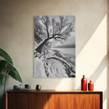 Coastal Snow, Barren Tree, Frozen Shoreline, Canvas Print, Serene Winter Decor, Entryway or Hallway Minimalist Wall Art