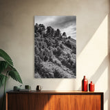 Hillside Forest, Peaceful Pines, Mountain Light, Framed Canvas Print, Nature Wall Art, Cabin Decor, Woodland Landscape Scene