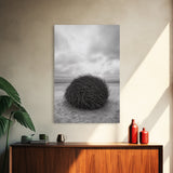 Windswept Beach Nest, Natural Sculpture, Driftwood Ball, Solitude Scene, Canvas Print, Minimalist Wall Art, Neutral Bedroom Decor