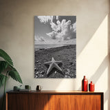 Starfish on Shore, Rocky Beach Scene, Cloudy Sky Horizon, Ocean Calm, Framed Canvas Print, Coastal Art, Bathroom Wall Decor