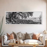 River Tree Roots, Tranquil Forest Landscape, Nature Wall Decor, Framed Canvas Print, Living Room Art, Black and White Earthy Style