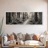 Redwood Forest, Nature Path, Fern Understory, Framed Canvas Print, Moody Nature Photography, Office Wall Art, Forest Bathing Vibes