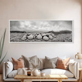 Scallop Shell Cluster, Dune Beach Scene, Canvas Print, Coastal Kitchen Decor, Minimalist Shell Wall Art, Natural Beach Aesthetic