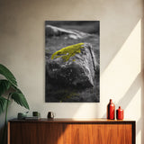 Mossy Stone Closeup, Earthy Nature Texture, Minimal Landscape Print, Framed Canvas Print, Modern Office Wall Decor, Zen Rock Art