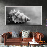 Sea Shell, Wabi Sabi Art, Coastal Decor, Minimalist Art, Nautical Wall Art, Moody Art, Extra Wide Art, Framed Canvas Print