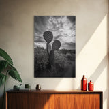 Prickly Pear, cactus art, Joshua tree art, wabi sabi art, moody art, black and white, framed canvas print, minimalist decor, rustic wall art
