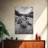 Lizard art, wildlife photography, moody art, desert decor, black and white photography, wabi sabi wall art, framed canvas print, unique gift