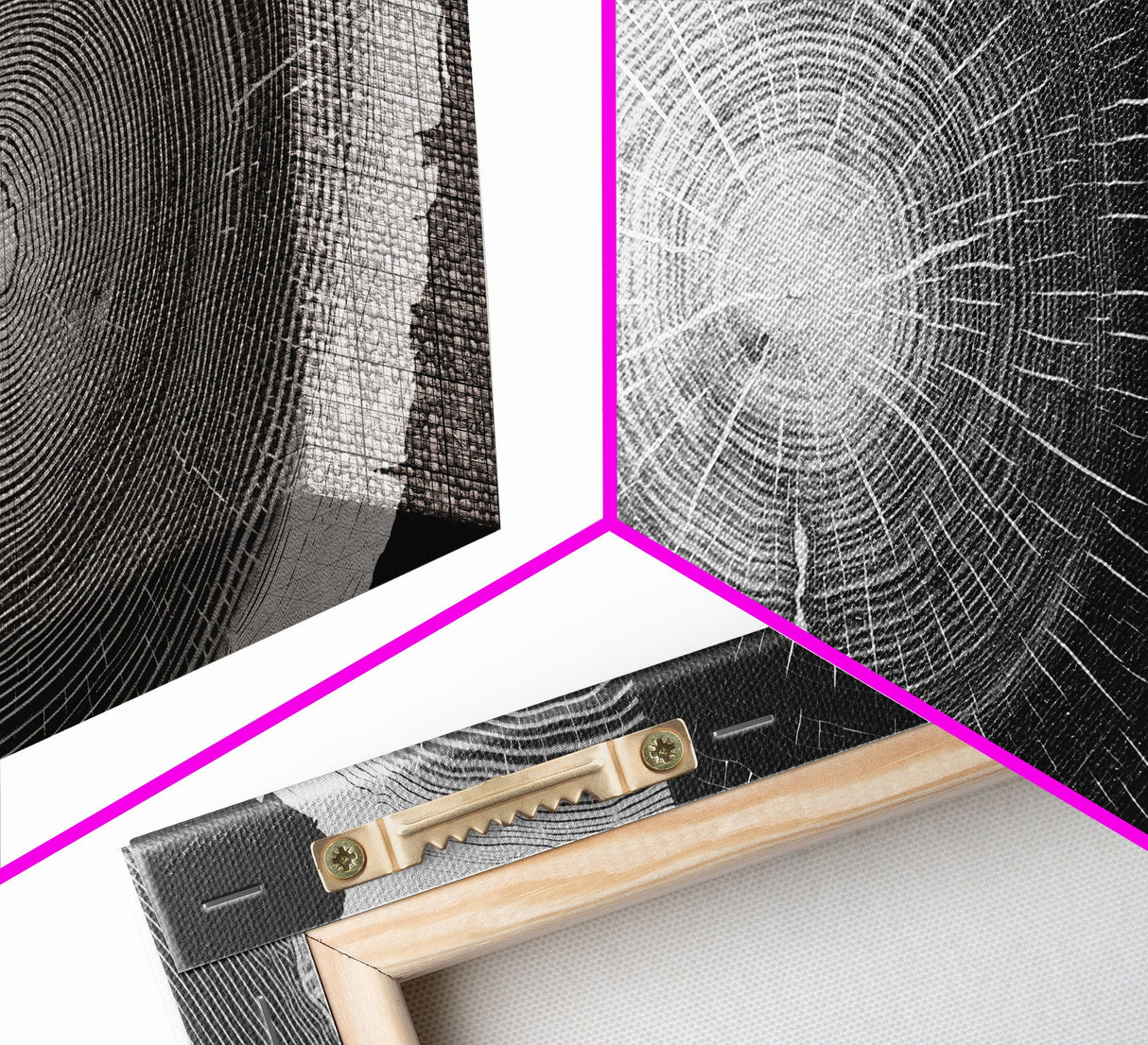 Tree Ring Prints, Lake House Large Wall Art, Boho Art, Minimalist, Farmhouse Art