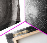 Tree Ring Prints, Lake House Large Wall Art, Boho Art, Minimalist, Farmhouse Art
