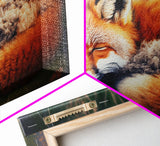 Sleeping fox Framed Canvas Wall Art, Canvas Print Decor for Home & Office Decoration Canvas Ready to Hang