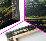 Park Wall Art, Outdoors Wall Art, Canvas Print, Wall Hanging, Portrait Art, Above Couch Wall Art, Nature Lover Gift, Office Wall Art