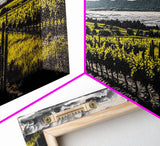 Vineyard View, Rolling Hills, Country Art, Framed Canvas Print, Rustic Landscape, Black White Yellow, Living Room Wall Art, Large Canvas