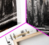 Forest Landscape, Black and White Tree Art, Moody Woodland Scene, Rustic Nature Wall Decor, Cabin Home Artwork, Framed Canvas Print