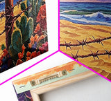Beach Cactus, Fence, Framed Canvas Print, Vibrant Desert Beach Landscape, Colorful Boho Western Decor, Southwestern Living Room Art