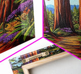 Forest Trail Trees, Nature, Canvas Print enchanted forest path wall art, redwoods hiking trail decor, Living Room Wall Art, boho vibes