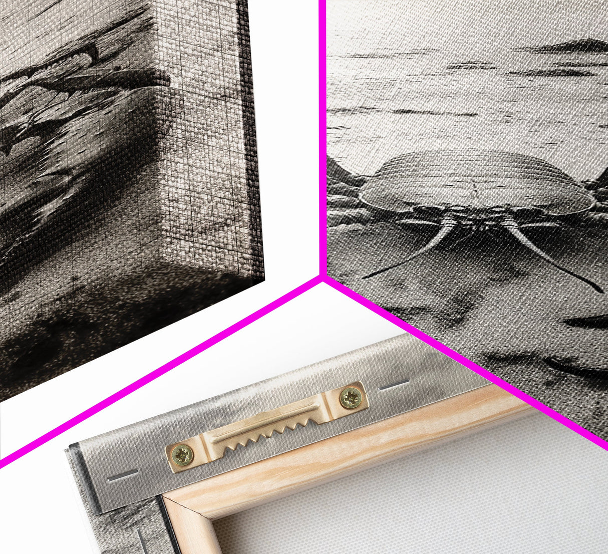 Lobster Beach Art, Coastal Wildlife Print, Sea Creature Decor, Nautical Kitchen or Bathroom Style, Framed Canvas Print, Ocean Life