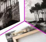 Tree Silhouettes, Coastal Pines Sunset, Nature Path Scene, Framed Canvas Print, Autumn Living Room or Rustic Cabin Wall Decor