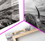 Highland Bull, Ocean Cliff, Coastal Wildlife, Nature Scene, Framed Canvas Print, Rustic Wall Decor, Farmhouse Wall Art, Cabin Aesthetic