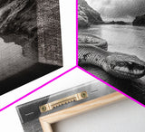 Ocean Snake Landscape, Coastal Creature Scene, Black and White Reptile, Framed Canvas Print, Moody Art, Bedroom or Den Decor