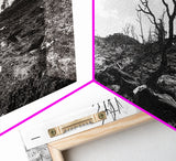 Barren Tree Landscape, Post Fire Terrain, Dystopian Forest Scene, Survival Mood, Canvas Print, Office Wall Art, Dark Nature Decor