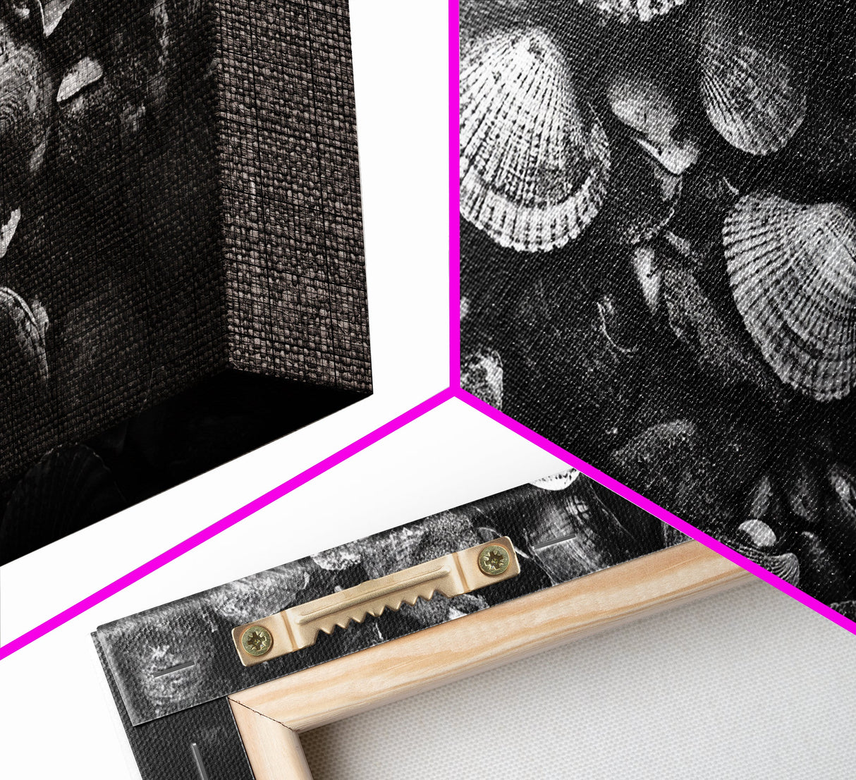 Seashell Close-Up, Ocean Texture Art, Nautical Beach Shells, Earthy Tones Decor, Framed Canvas Print, Bathroom Wall Art, Coastal Style