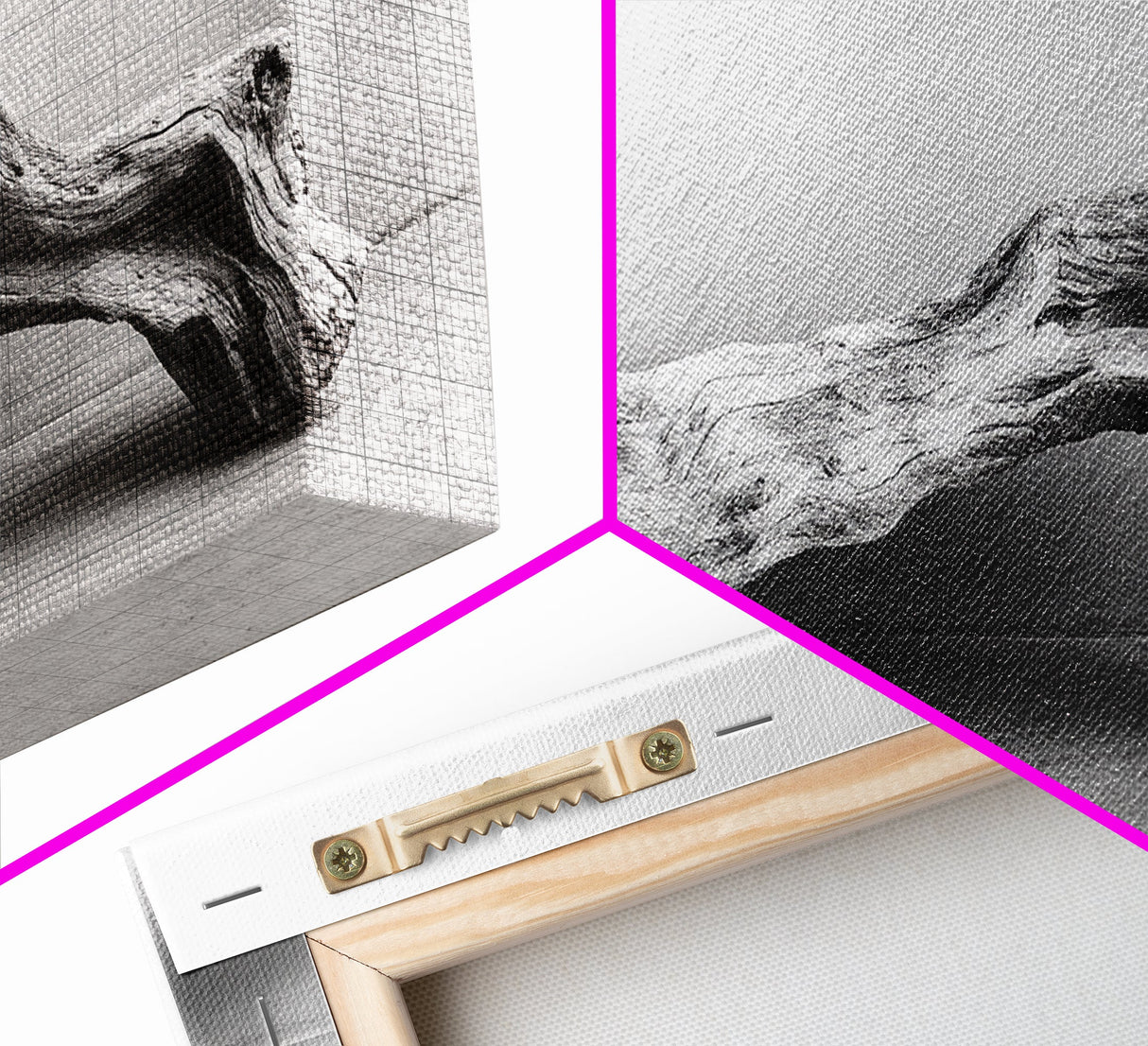 Driftwood Sculpture, Organic Modern Art, Natural Wood Texture, Neutral Decor, Framed Canvas Print, Bedroom or Living Room Wall Art
