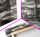 Forest Shadows, Tall Pines, Natural Light, Framed Canvas Print, woodland landscape, rustic cabin decor, autumn forest art