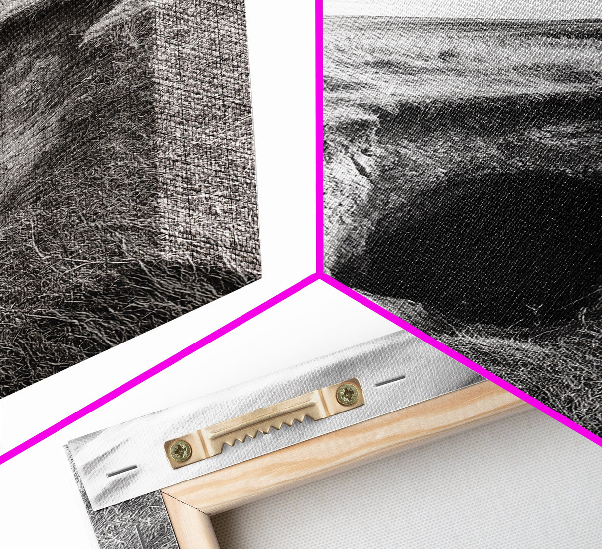 Burrow Entrance, Hidden Hole, Grassland Tunnel, Canvas Print, Nature Wall Art, Living Room Decor, Black White Landscape Photography