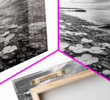 Flower Shore, Peaceful Beach, Moody Sky, Petal Scape, Framed Canvas Print, romantic beach art, bedroom decor, black and white floral print