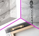 Dragonfly Beach Art, Detailed Insect Wings, Nature Wall Decor, Framed Canvas Print, Boho Bedroom Art, Minimal Wildlife Photography
