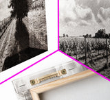 Vineyard Rows, Sunny Fields, Cloudy Sky, Canvas Print, Rustic Country Decor, Dining Room Wall Art, Wine Country Landscape, Farmhouse Style