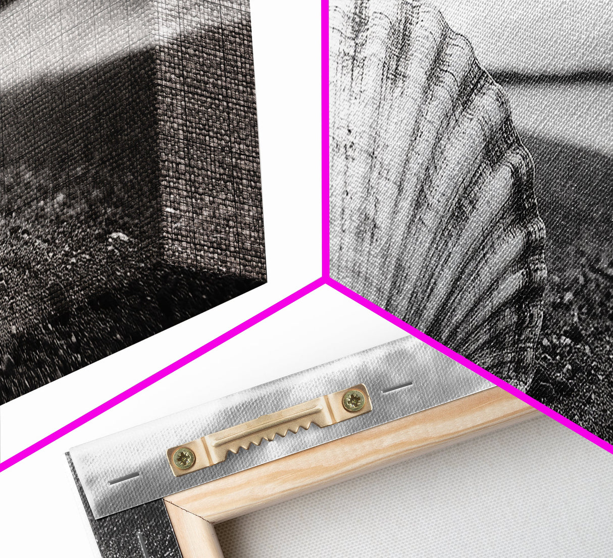 Shell on Shore, Monochrome Coastal, Canvas Print, Boho Wall Art, Bathroom Wall Decor, Natural Beach Aesthetic, Ocean Inspired Art