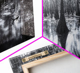 Swamp Roots, Cypress Trees, Flooded Forest, Framed Canvas Print, southern nature art, rustic lodge wall decor, moody woodland photography