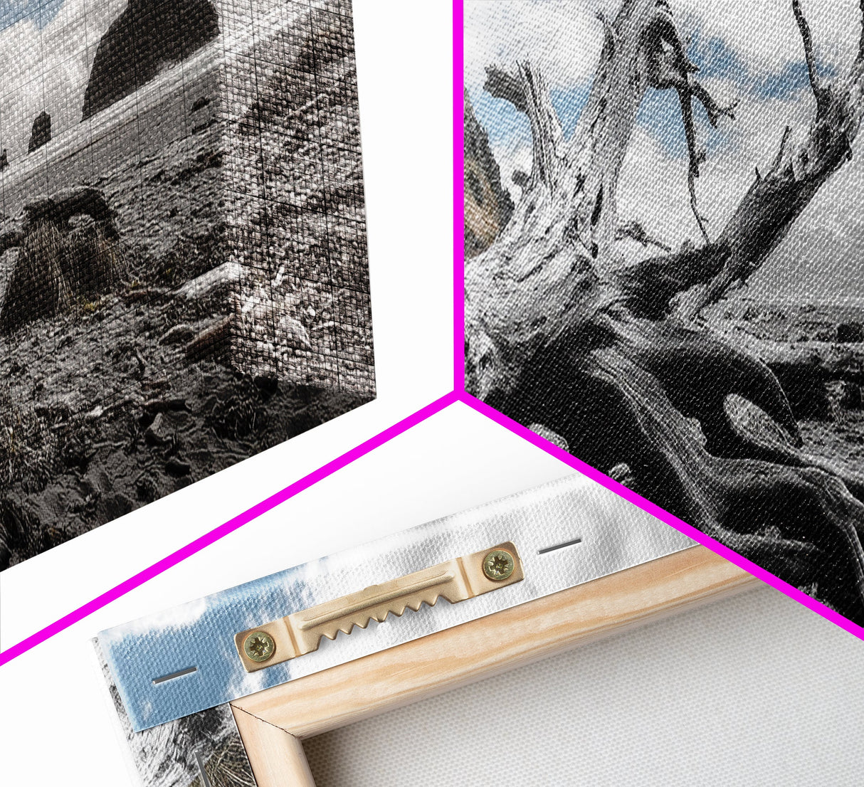 Driftwood, Coastal Tree, Beach Skeleton, Ocean Landscape, Framed Canvas Print, Coastal Decor, Neutral Tones, Office Wall Art