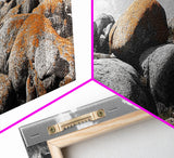 Granite Boulder Field, Orange Lichen Rocks, Desert Rockscape, Canvas Print, Natural Earth Decor, Living Room Wall Art