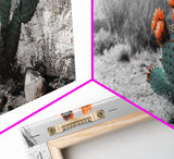 Cactus Garden, Desert Life, Orange Bloom, Nature Vibes, Framed Canvas Print, Rustic Wall Art, Boho Decor, Office Botanical Accent