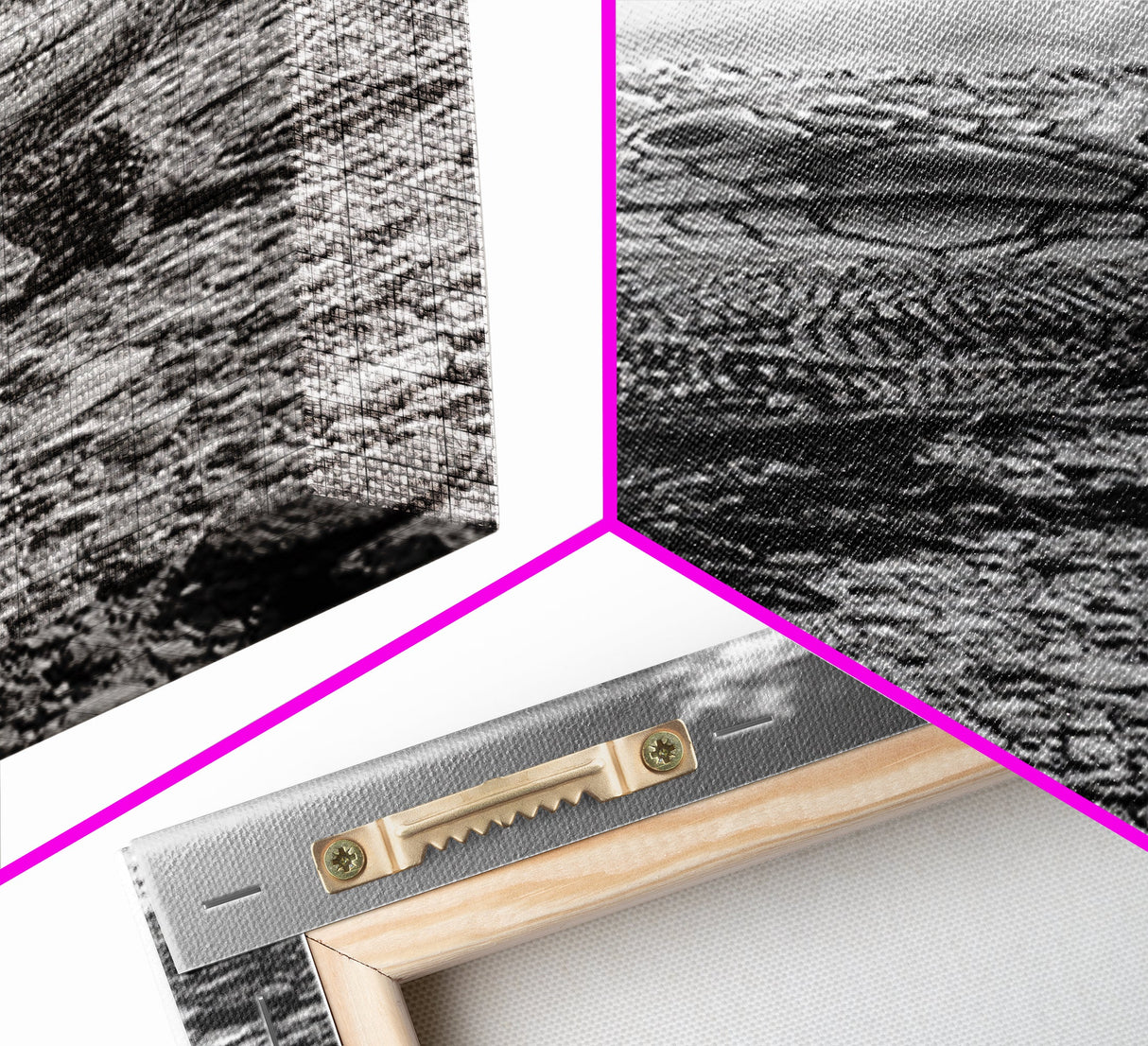 Lizard Close-Up, Framed Canvas Print, wildlife photography, rustic wall art, southwest wall art, desert animal art, black and white home decor
