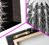 Cactus Spines, southwest wall art, desert art, botanical prints, geometric wall art, nature photography, sharp contrast, Framed Canvas Print