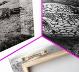 Lizard art, wildlife photography, moody art, desert decor, black and white photography, wabi sabi wall art, framed canvas print, unique gift