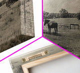 Horse Grazing in Pasture by Farmhouse, Antique Style Framed Canvas Print Country Living Room Decor, Rustic Farmhouse Wall Art, Nature Scene