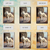 Wildwest Dire Wolf, fantasy art, framed canvas print
