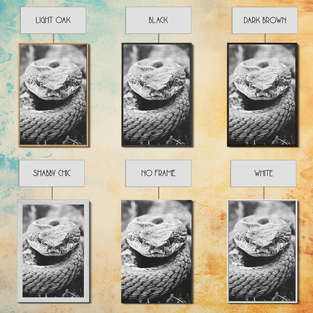 Rattlesnake Face, Coiled Closeup, Venomous Gaze, Canvas Print, Macro Wildlife Wall Art, Reptile Decor, Intense Black White Photography