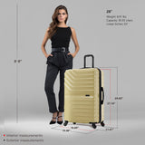 Aurum Large 28"