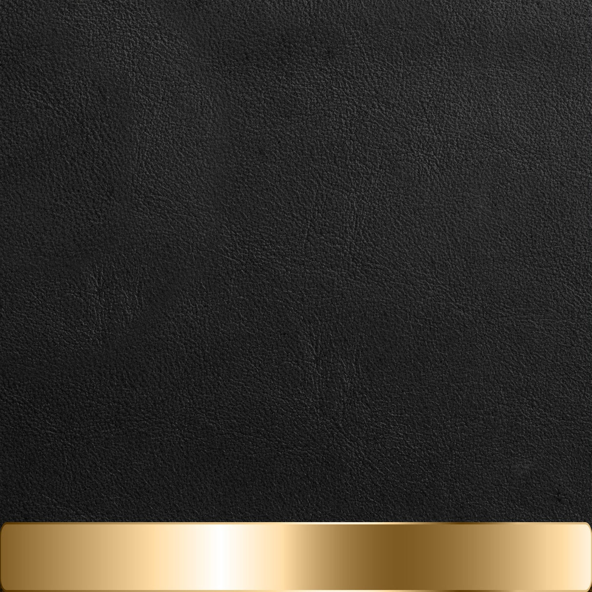 The Chapstick Holder