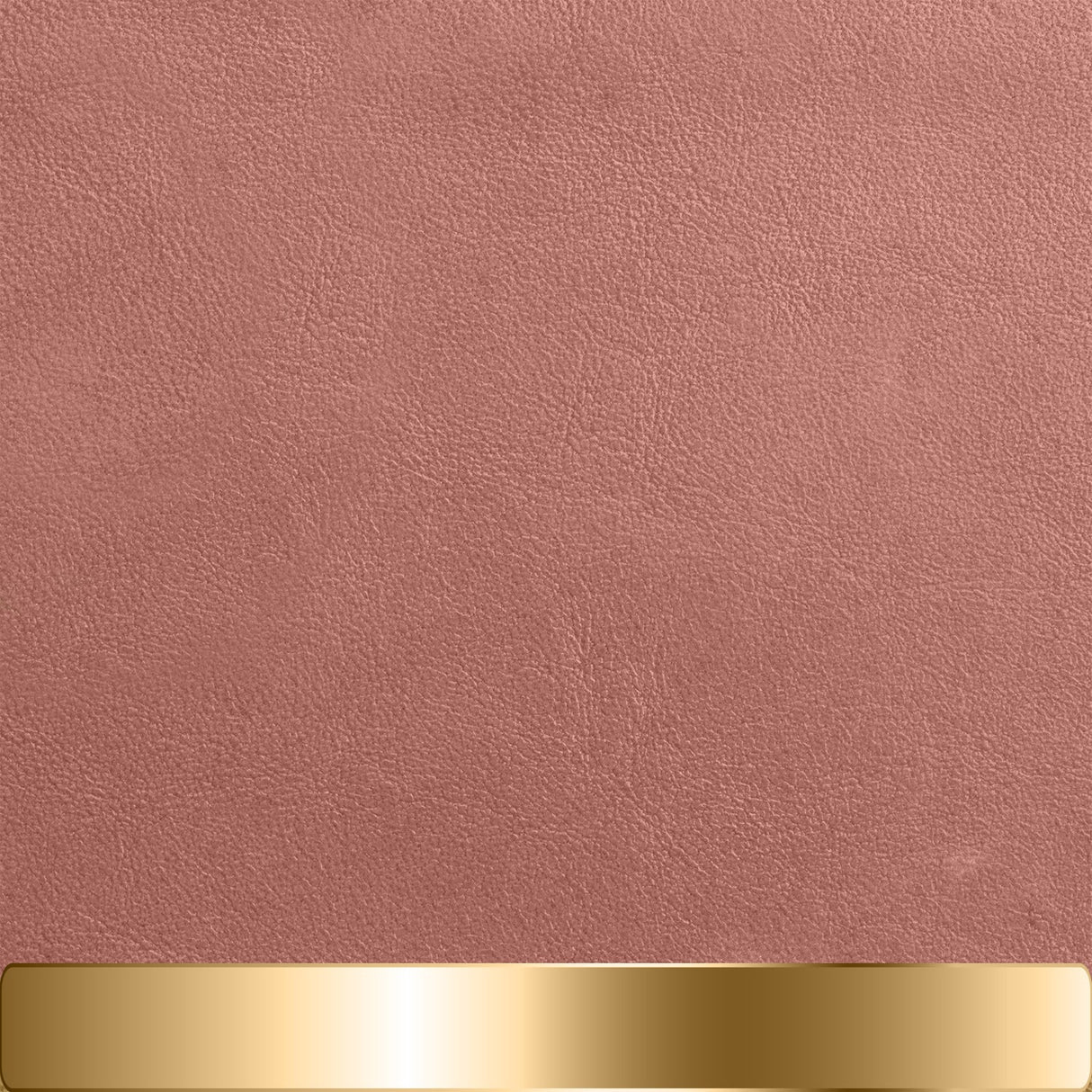 The Chapstick Holder