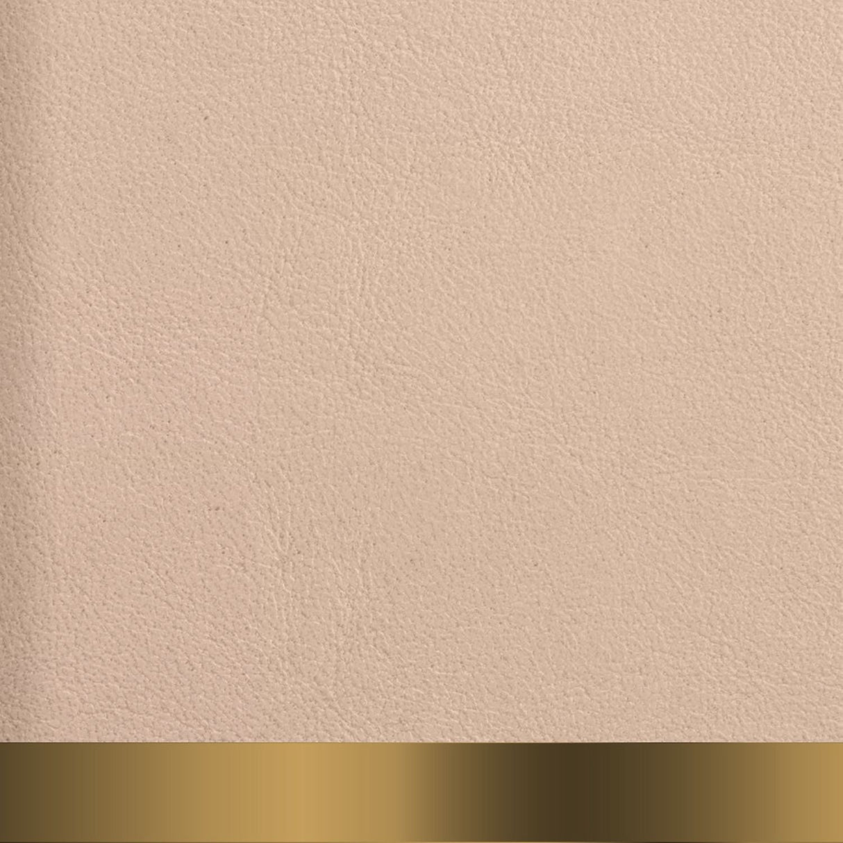 The Chapstick Holder